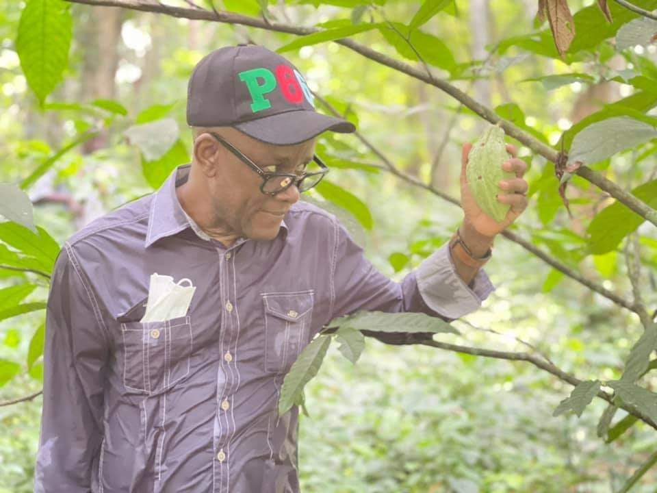 Inside Nigeria ex-Lawmaker farm ventures