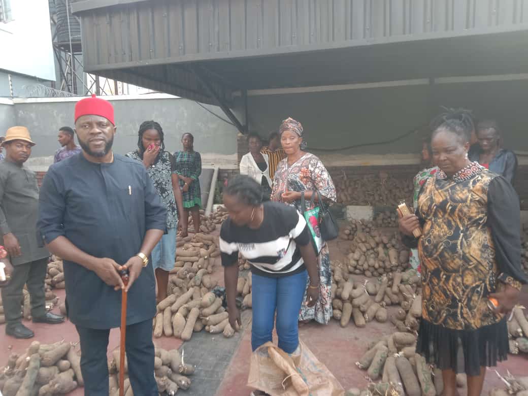 Johnbosco Onunkwo Foundation Distributes Yam Seedlings To Households, Farmers In Anambra