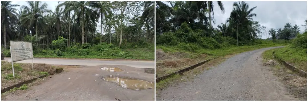 Investigation: Akamkpa Community Left To Suffer After ₦297.7 Million Road Project Stalls