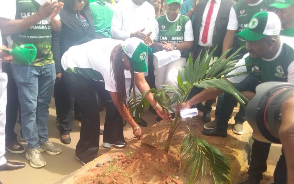 Anambra govt flags-off tree planting, urban forestation campaigns