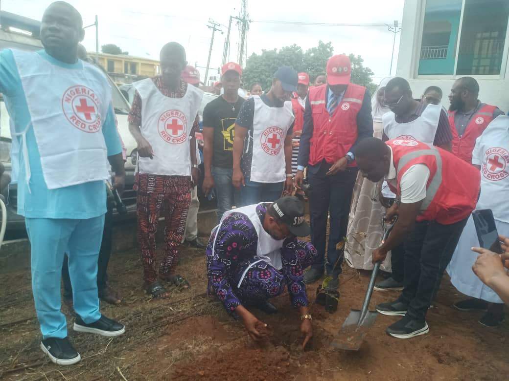 Climate Change: Red Cross Announces Planting of 5 Billion Trees in Nigeria