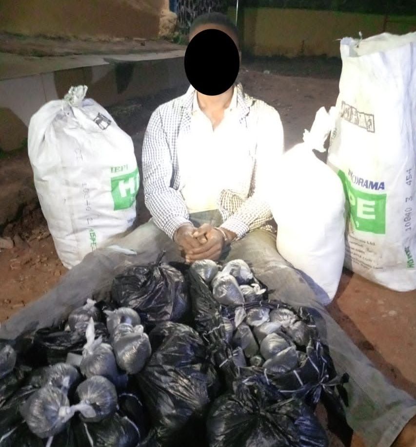 Police arrest man who supplies food to gunmen, recover ammunition concealed in bags of garri