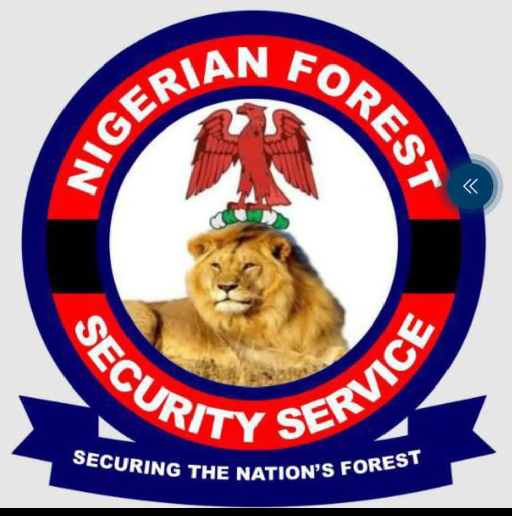 Nigerian Forest Security Service To Partner Soludo Against Insecurity