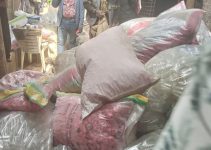 NAFDAC seizes 10 trucks of fake drugs in Anambra