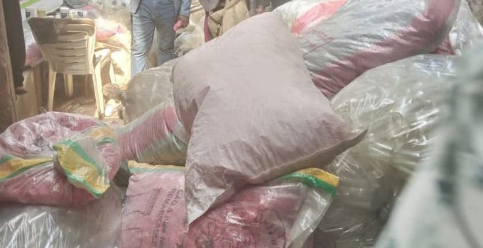 NAFDAC seizes 10 trucks of fake drugs in Anambra