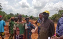 Developer destroys economic trees worth millions of naira in Anambra