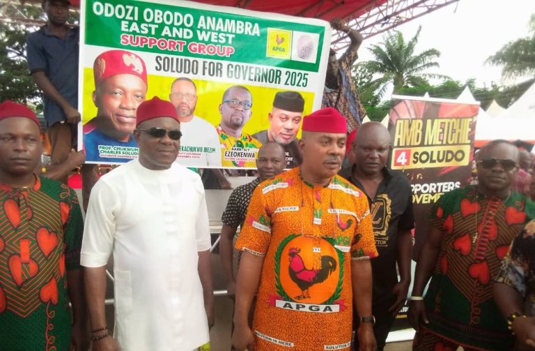 Anambra guber: Metchie backs Gov Soludo’s second term bid