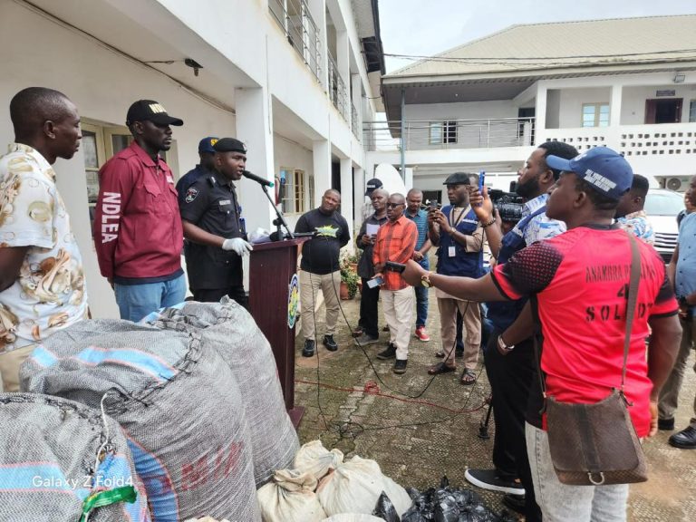 Police arrest 54 suspected drug dealers, recover bags of hemps in Anambra