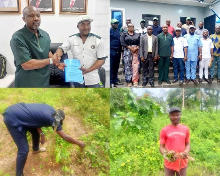 C’River Forestry Commission, PROWPMAN Sign MOU on Sustainable Green Project