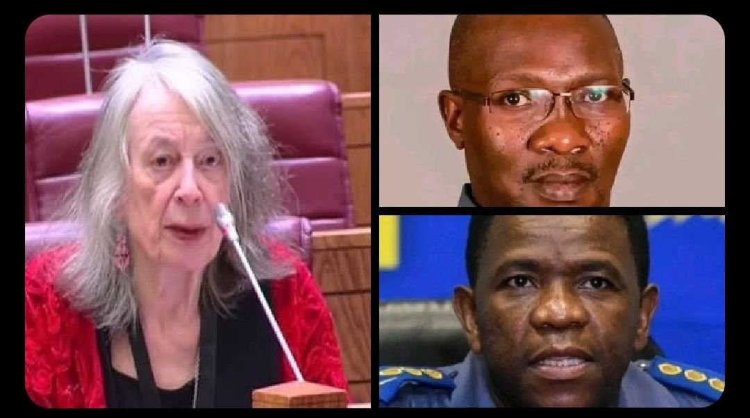 De Haas slams Mkhwanazi and Khumalo as 'not credible' in Parliament