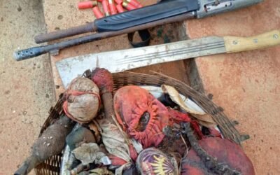 Police arrest additional four suspects over killing of three Cameroonians in Anambra