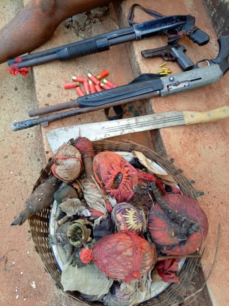 Police arrest additional four suspects over killing of three Cameroonians in Anambra